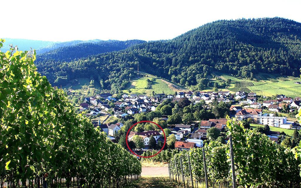 Hotel Rebstock Baden-Baden Zewnętrze zdjęcie
